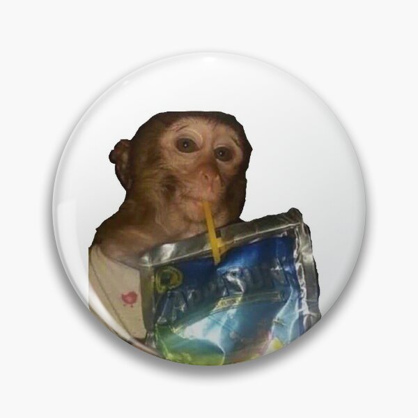 Monkey Meme Enamel Pin, Monkey looking away Meme Pin Brooch Joke pin cool  pins for backpacks brooch meme kawaii