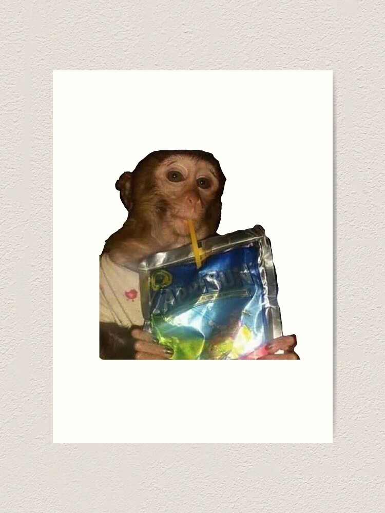 monkey with capri sun