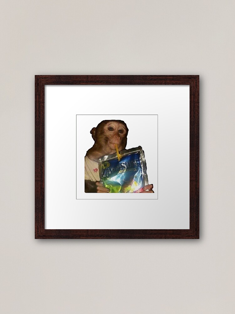 Monkey sipping caprisun meme | Photographic Print