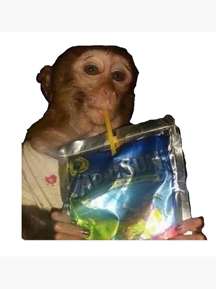 Monkey sipping caprisun meme Photographic Print for Sale by janenovacane