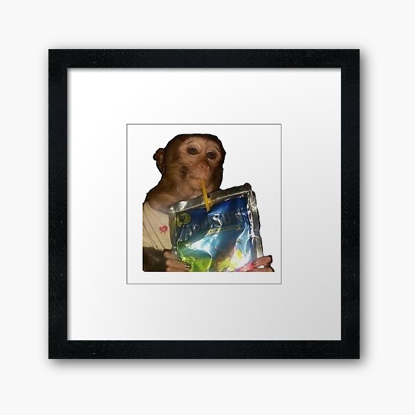 Monkey sipping caprisun meme Photographic Print for Sale by janenovacane