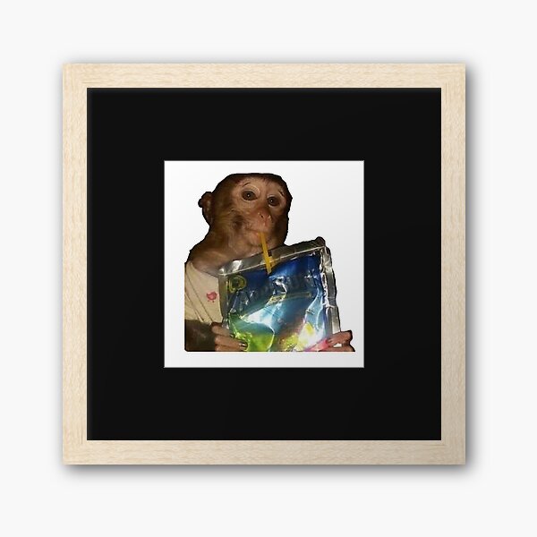 Monkey sipping caprisun meme Photographic Print for Sale by janenovacane