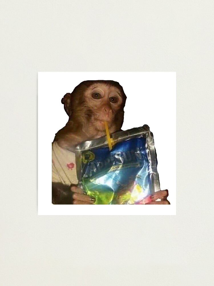 Monkey sipping caprisun meme Photographic Print for Sale by janenovacane