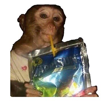 Monkey sipping caprisun meme Photographic Print for Sale by janenovacane