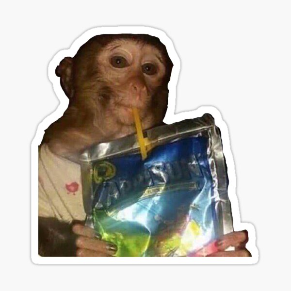 Monkey sipping caprisun meme Photographic Print for Sale by janenovacane