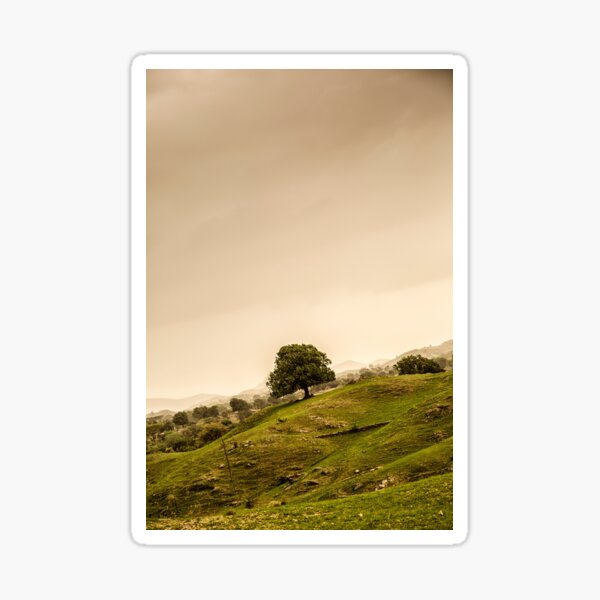 SL-WEEK 34 : Trees Sticker