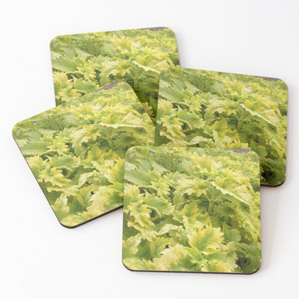 Item preview, Green Fresh Nature designed and sold by Hilmanku.