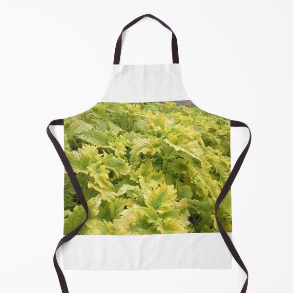 Item preview, Green Fresh Nature designed and sold by Hilmanku.