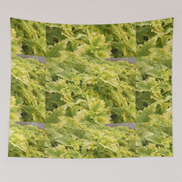 Item preview, Green Fresh Nature designed and sold by Hilmanku.