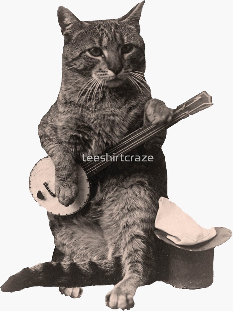 Cat Playing Banjo Guitar by teeshirtcraze