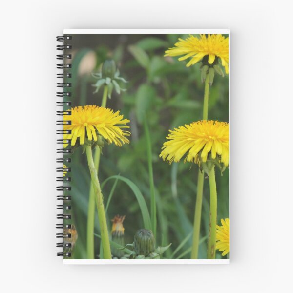 Item preview, weedy dandalions designed and sold by suzyrissew.