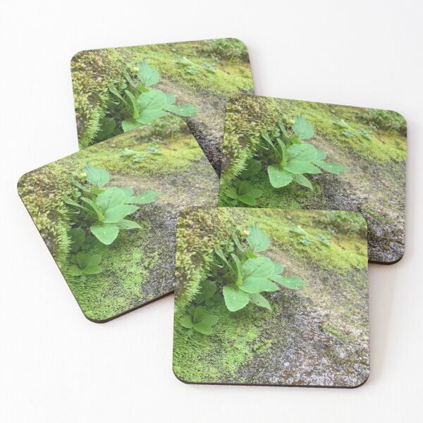 Item preview, Mossy Spring Rock designed and sold by tfisher9090.