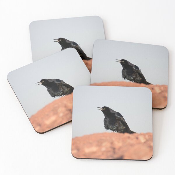 Item preview, Singing Great-Tailed Grackle designed and sold by elixandre.
