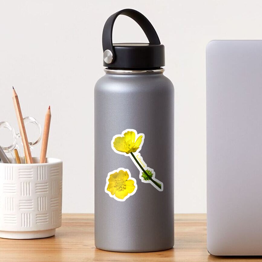 Buttercup Sticker