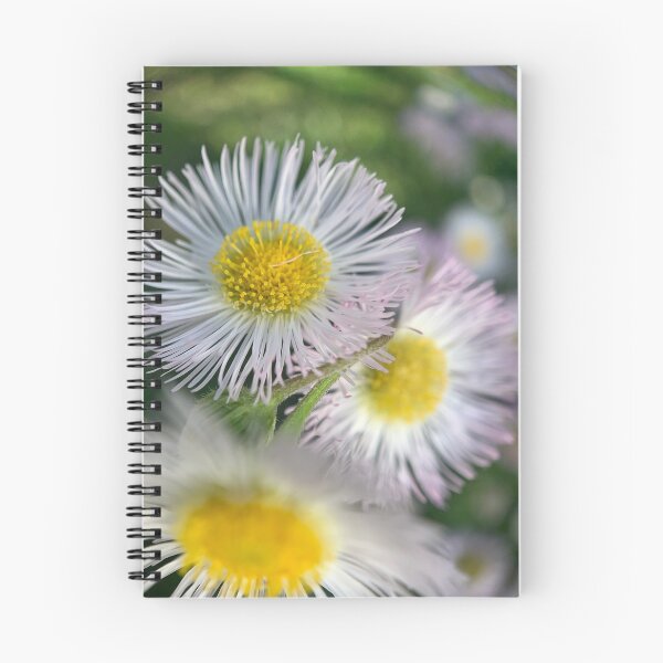 Item preview, Flor designed and sold by eidas.