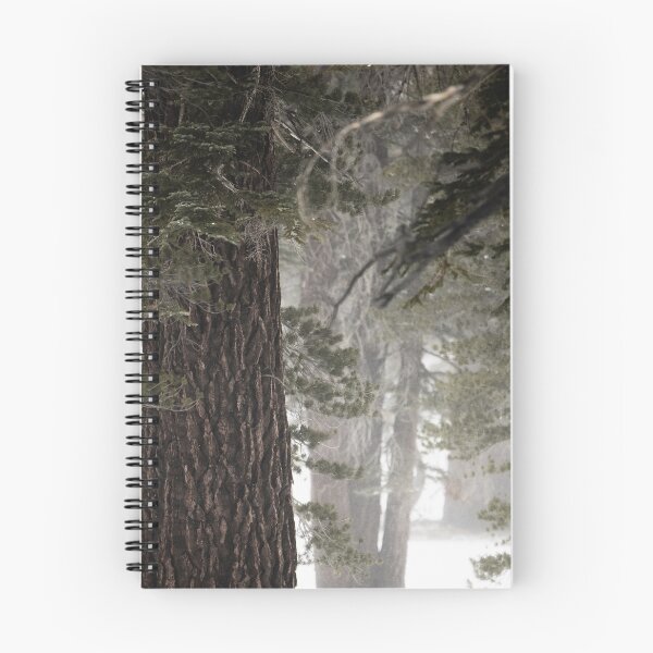 Item preview, 'Big Pine Trees' Mammoth Lake California  designed and sold by AHphotopia73.