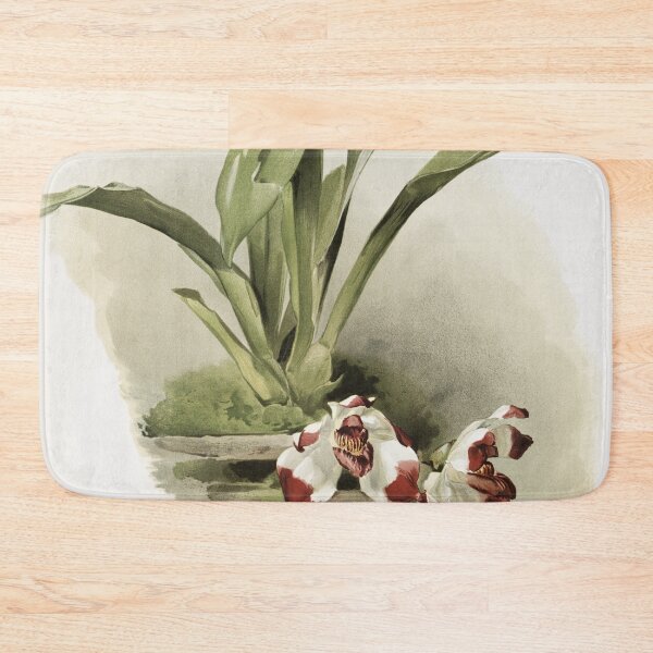 Item preview, Reichenbachia: Orchids Illustrated and Described designed and sold by EsotericBotanic.