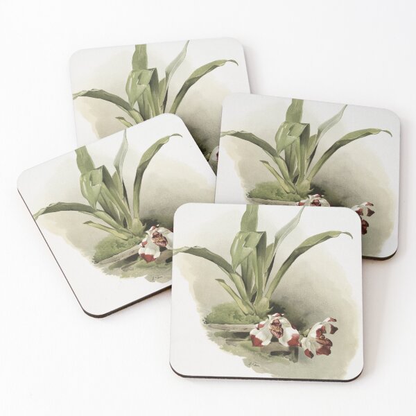 Item preview, Reichenbachia: Orchids Illustrated and Described designed and sold by EsotericBotanic.