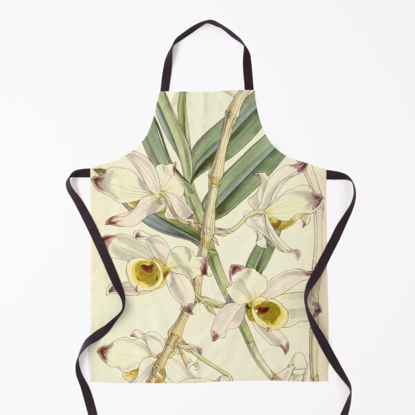 Item preview, Dendrobium falconeri designed and sold by EsotericBotanic.