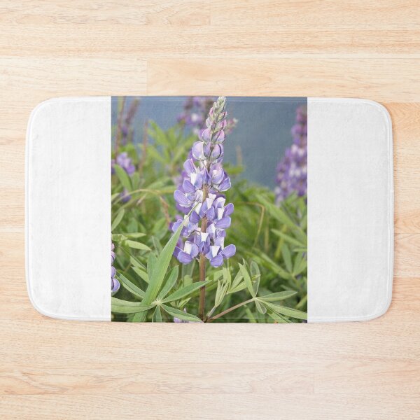 Item preview, Broadleaf lupine (Lupinus latifolius) designed and sold by SDym Photography.