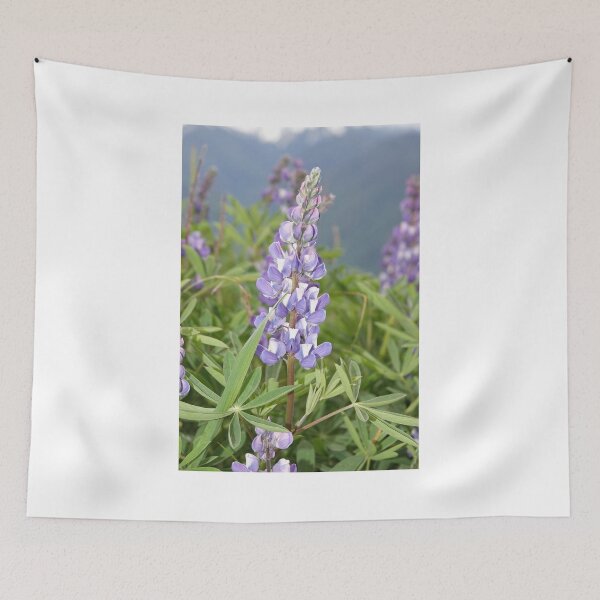 Item preview, Broadleaf lupine (Lupinus latifolius) designed and sold by SDym Photography.