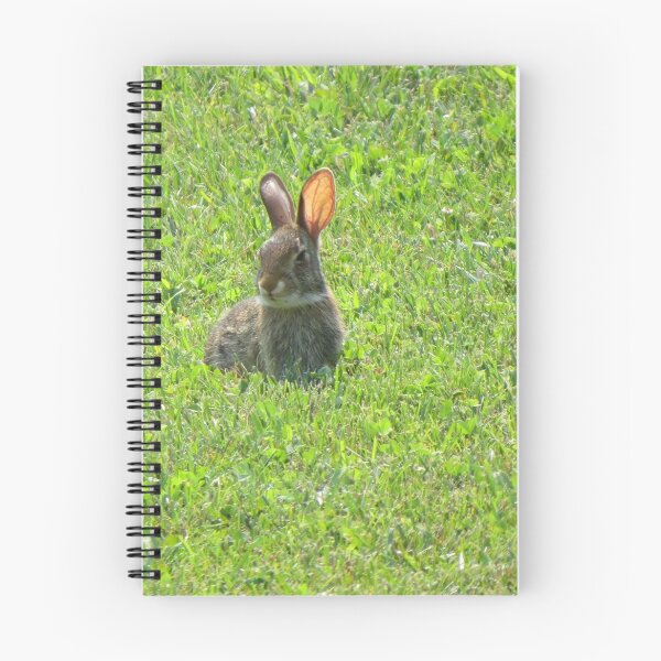 Item preview, Hoppy designed and sold by kimbarose.