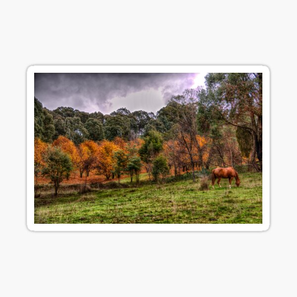 Item preview, Tumbarumba Autumn - Tumbarumba NSW - The HDR Experience designed and sold by Salieri1627.
