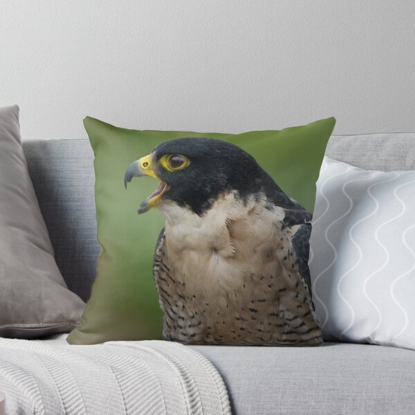 Item preview, Hawk is talking to you designed and sold by Alla Gill.