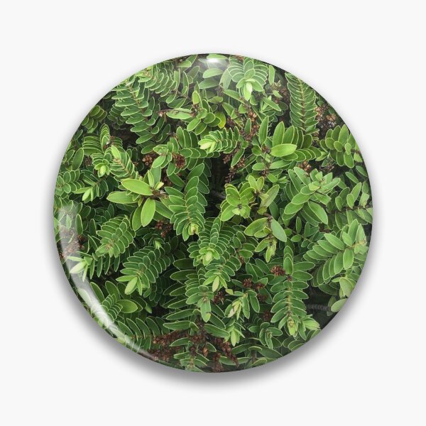 Item preview, Shrub designed and sold by ParallelPlanet.