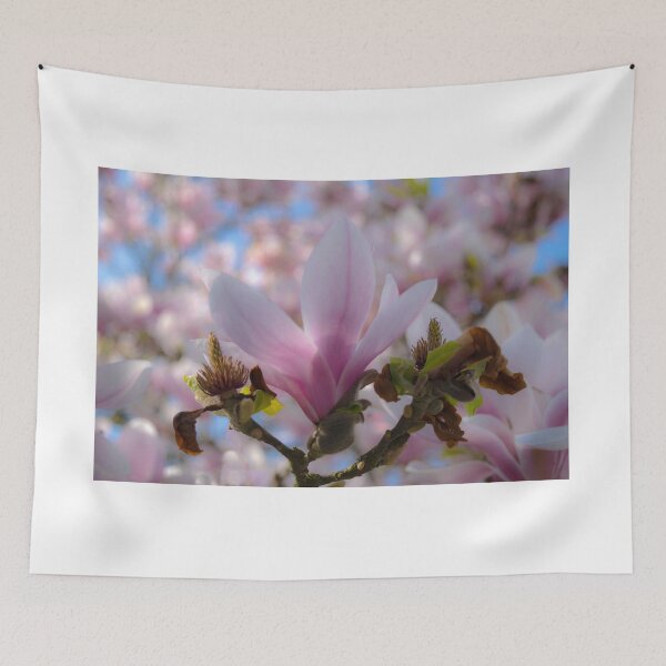Item preview, Sweet magnolia designed and sold by Anita van Gendt.