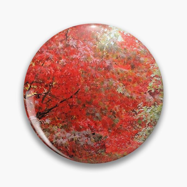 Item preview, Acer, Sheffield Park, England designed and sold by QualitySolution.