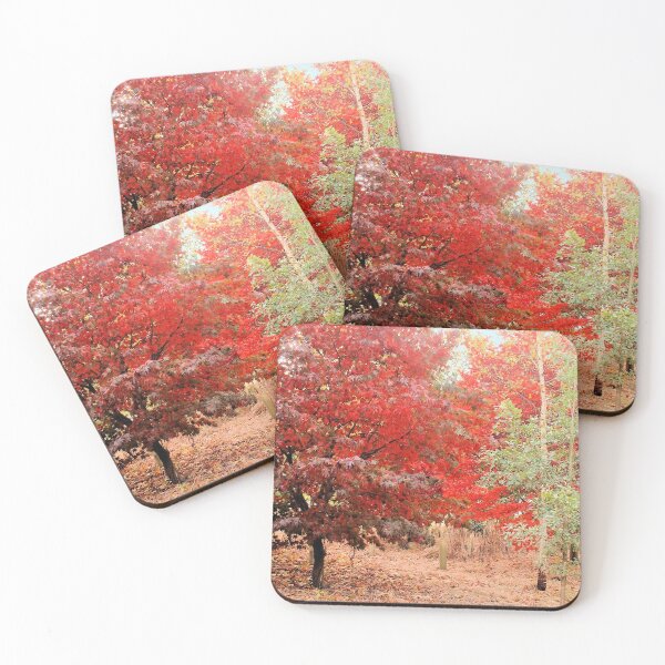 Item preview, Acer, Sheffield Park, England designed and sold by QualitySolution.
