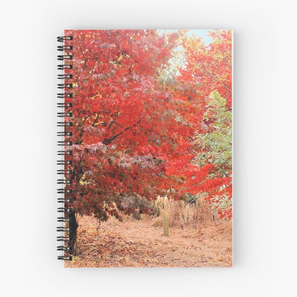 Item preview, Acer, Sheffield Park, England designed and sold by QualitySolution.
