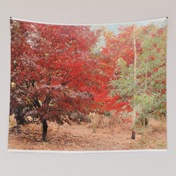 Item preview, Acer, Sheffield Park, England designed and sold by QualitySolution.