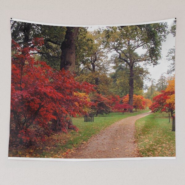 Item preview, Autumn (fall) Colours, Sheffield Park, England designed and sold by QualitySolution.