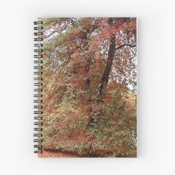 Item preview, Colours, Sheffield Park, England designed and sold by QualitySolution.