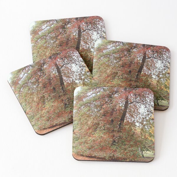 Item preview, Colours, Sheffield Park, England designed and sold by QualitySolution.