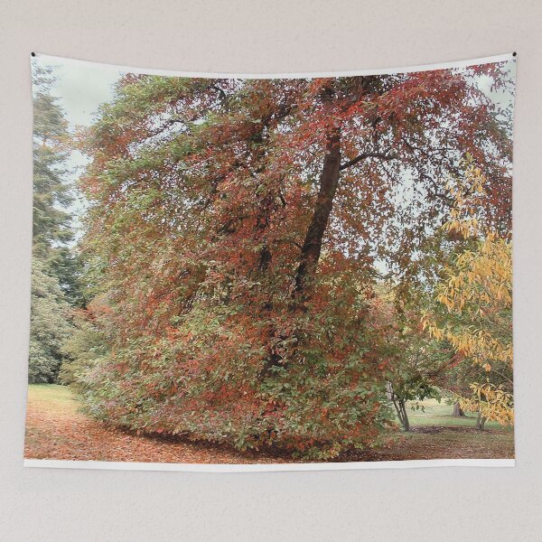 Item preview, Colours, Sheffield Park, England designed and sold by QualitySolution.