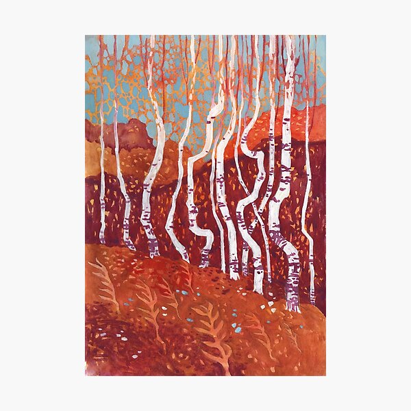 White shadows Photographic Print