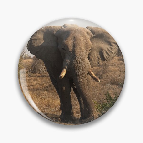 Item preview, Bull Elephant squaring up in Kruger National Park South Africa designed and sold by Rocketman2017.