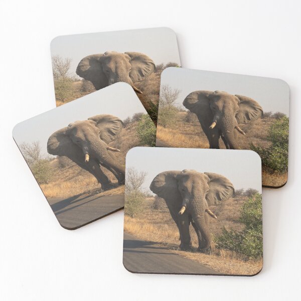 Item preview, Bull Elephant squaring up in Kruger National Park South Africa designed and sold by Rocketman2017.