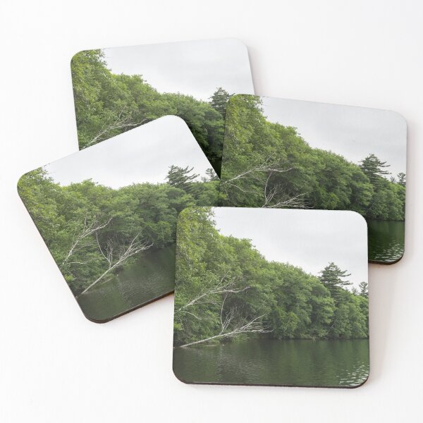 Item preview, White Skeletons - Verdant Forest Lake with Fallen Trees designed and sold by Georgia Mizuleva.
