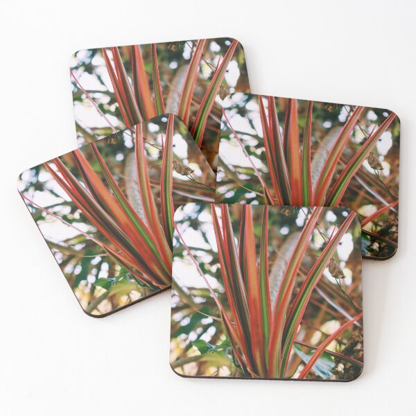 Item preview, plant leaf designed and sold by derryshop.