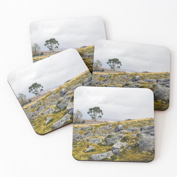 Item preview, A lone eucalyptus tree growing high in the Brecon Beacons designed and sold by Cameranick.