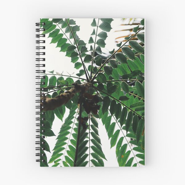 Item preview, tree branch designed and sold by derryshop.