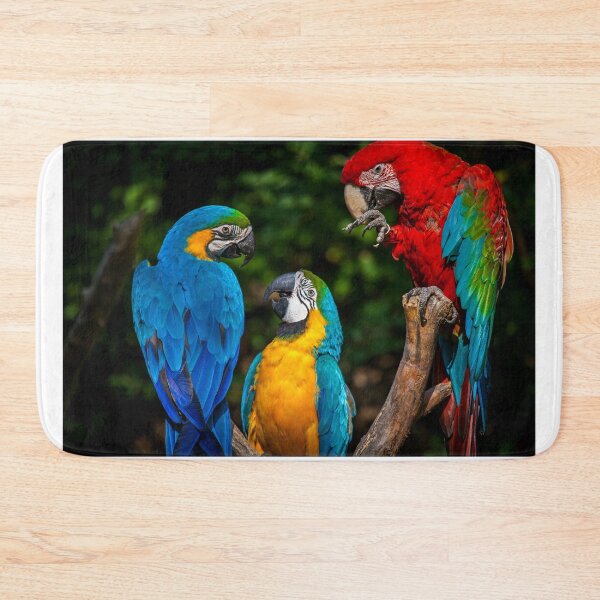Item preview, The Three Amigos designed and sold by TVD-Photography.