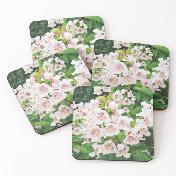 Item preview, White catalpa in full blossom, natural background  designed and sold by helenkaiy.