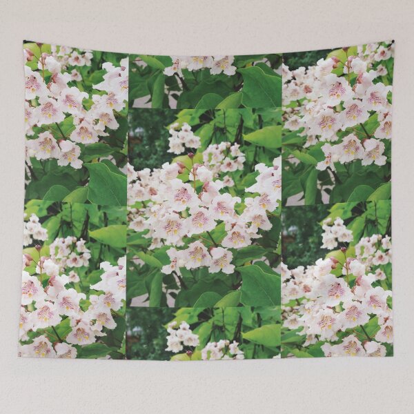 Item preview, White catalpa in full blossom, natural background  designed and sold by helenkaiy.