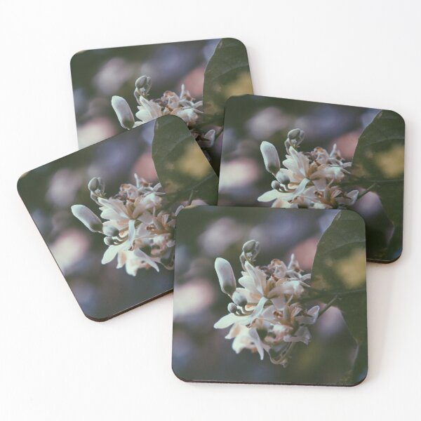 Item preview, White Flower designed and sold by derryshop.