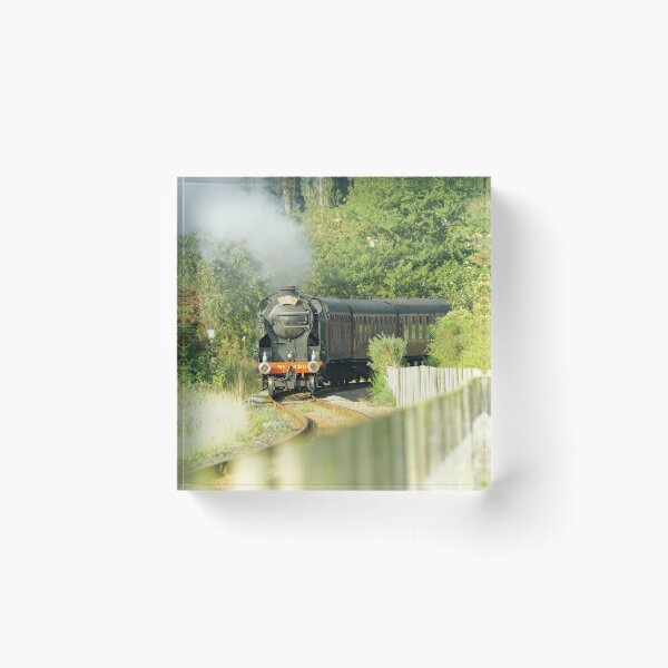 Item preview, STEAM POWER designed and sold by andrewsaxton.